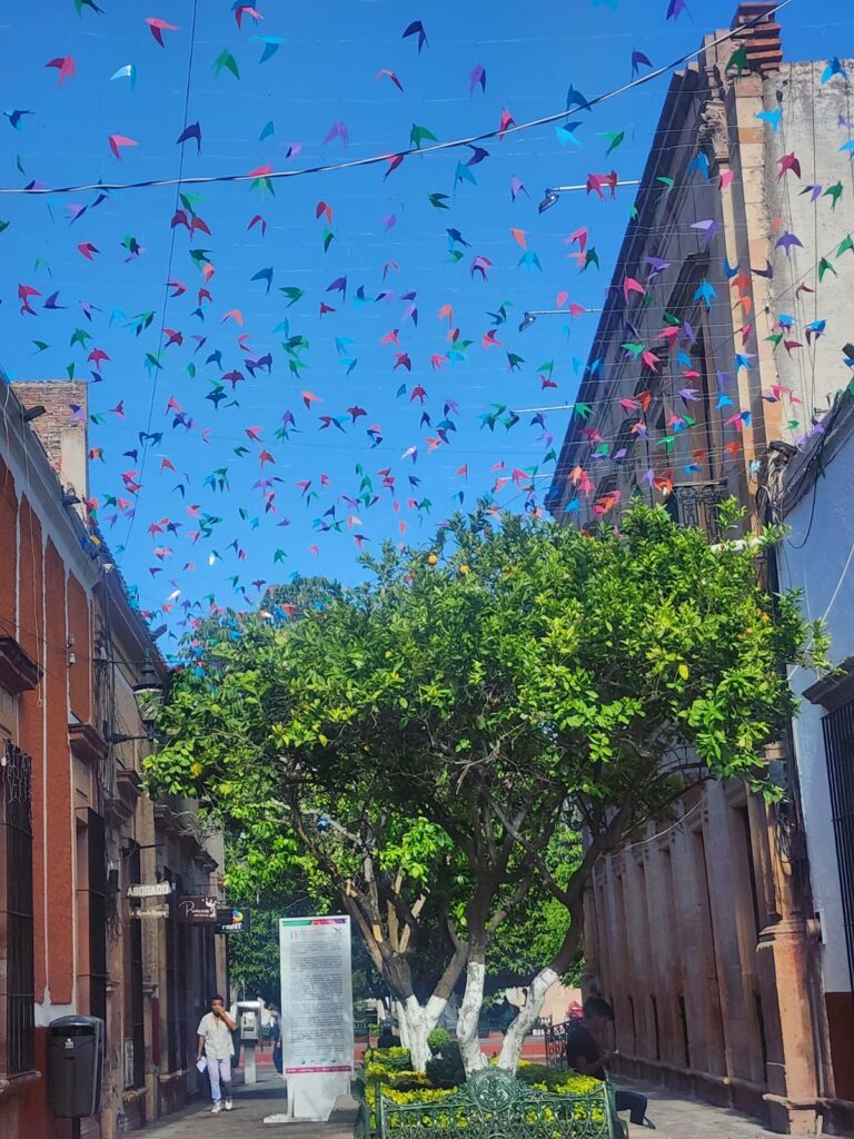 Journey of Connection: Uniting Humanity through Montessori Education